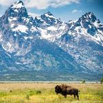 Grand Teton National Park