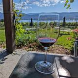 Wine tour