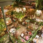 Raleigh Beer Garden