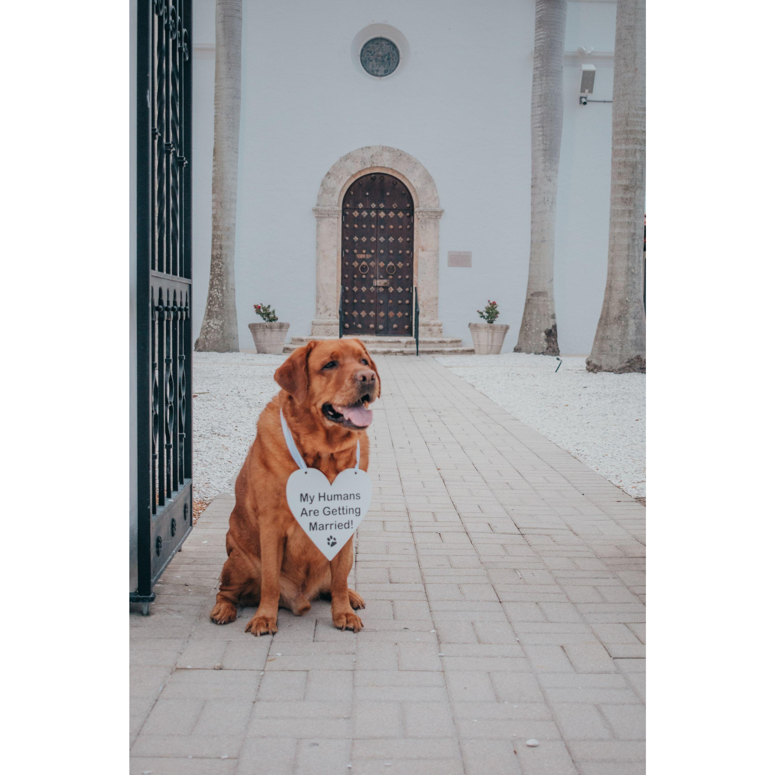 How beautiful is it to have a dog who asks for nothing but your company.