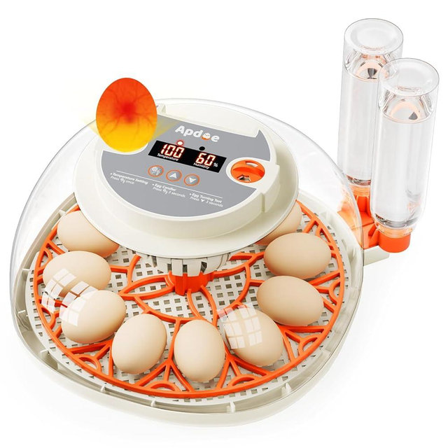 12 Egg Incubator with Temperature and Humidity Display, Automatic Egg Turning, Egg Candler, Automatic Water Bottle Refill, Air Vent, Hatching Chicken Duck Quail Bird, Apdoe 2025 Upgraded Incubator