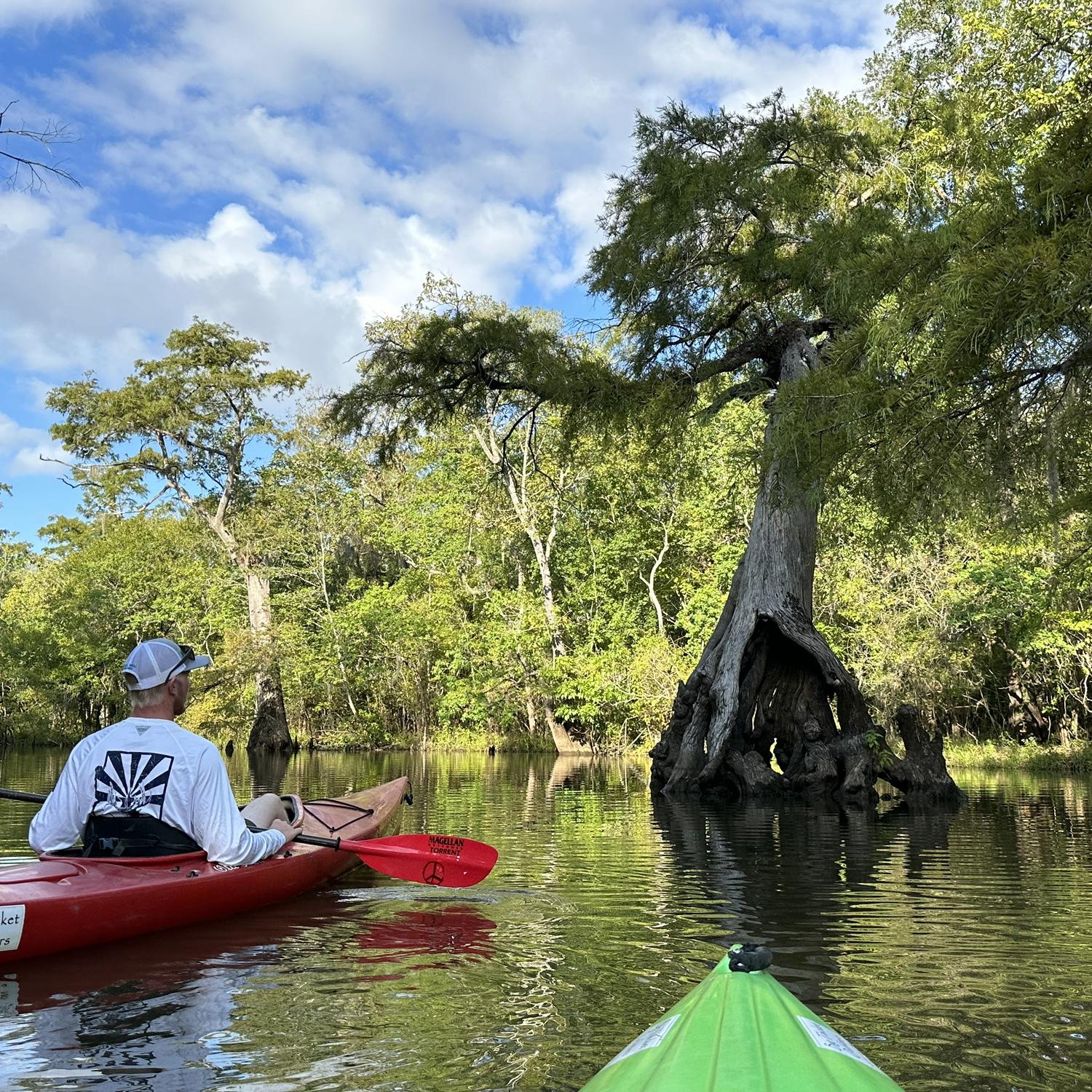 We kayaked the Neches River in Texas!