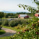 Rose Hill Farm