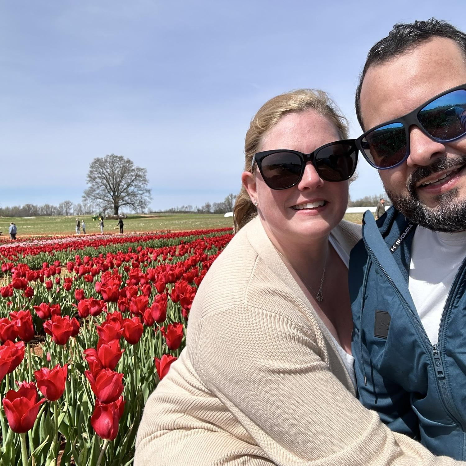 Trip to the tulip farm in north Madison, County in Alabama.
