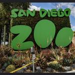 San Diego Zoo