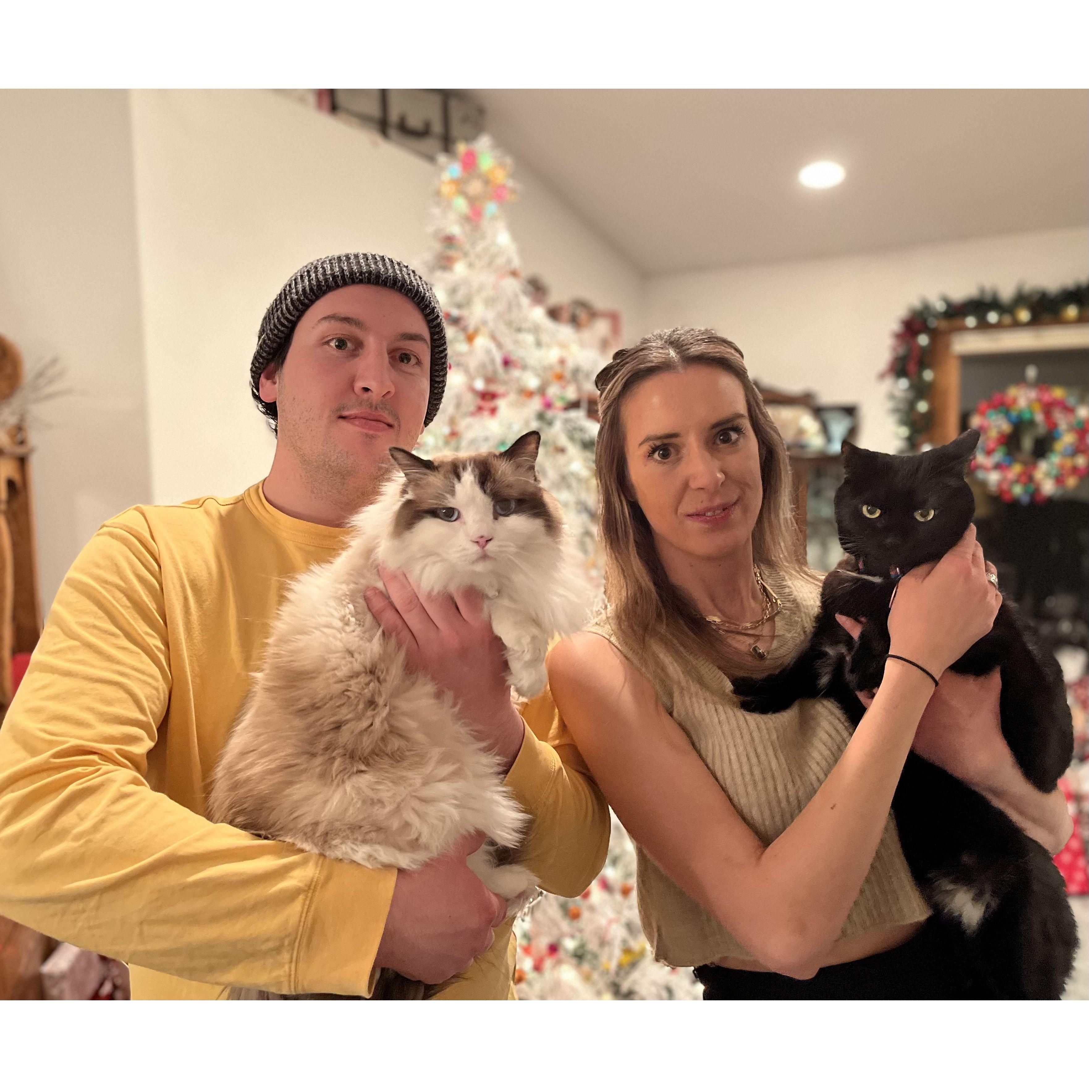 Family Christmas photo with Sprinkles and Pippa!!!!