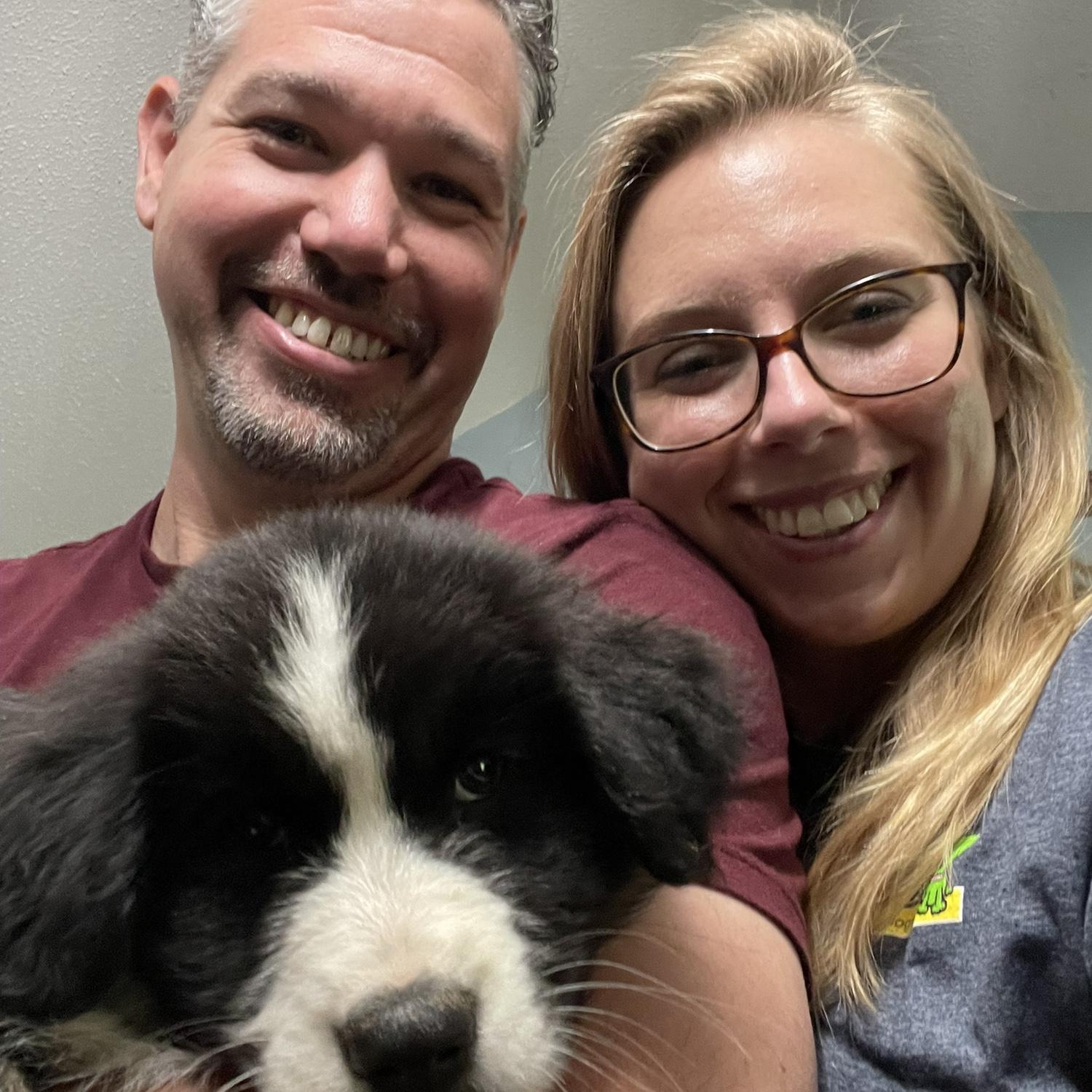 Welcoming our puppy, Whisky