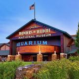 Wonders Of Wildlife National Museum & Aquarium