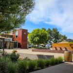 Callaway Vineyard & Winery