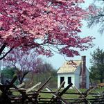 George Washington's Ferry Farm