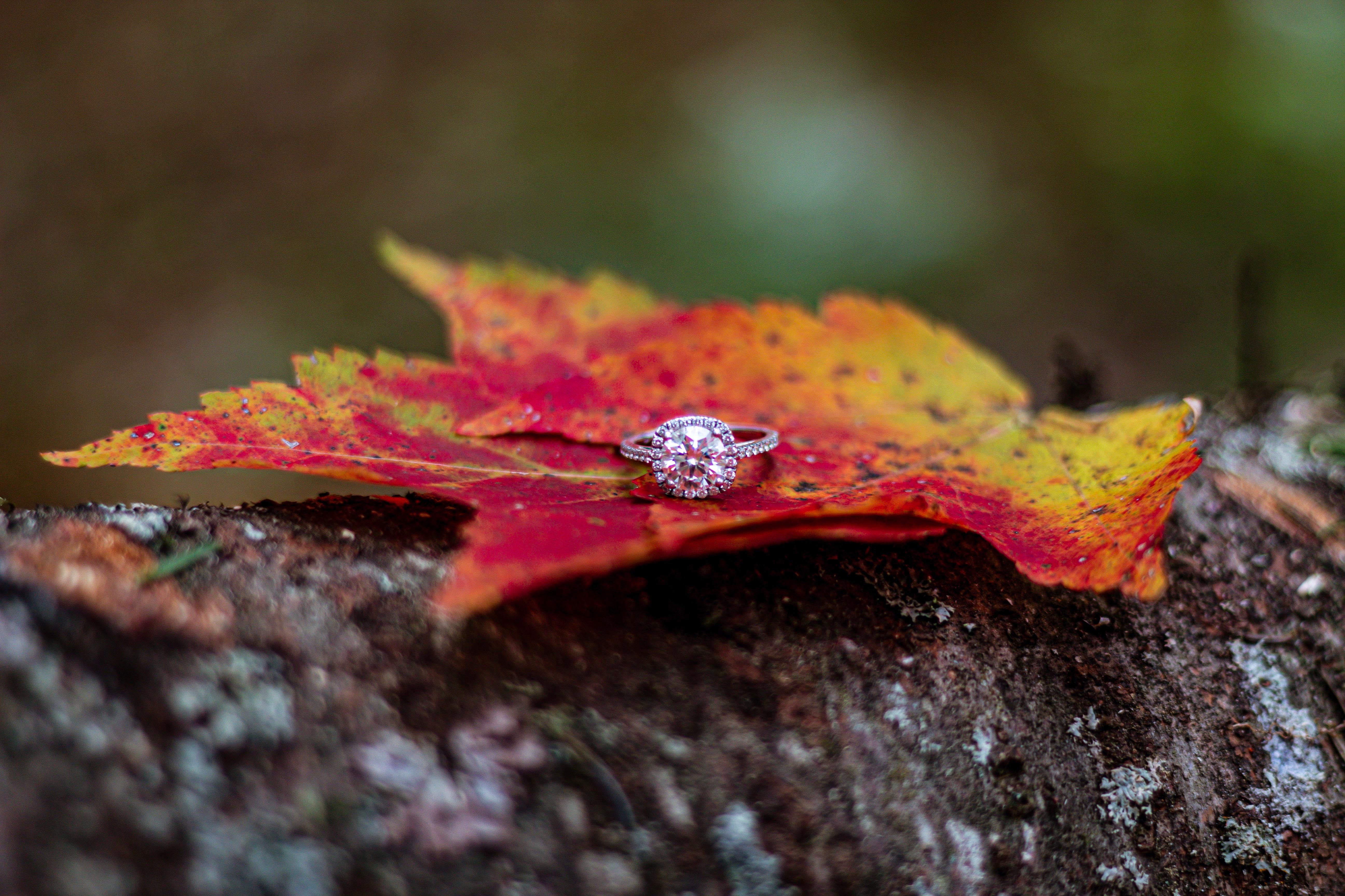 The Wedding Website of Alaina Jones and Riley Smith