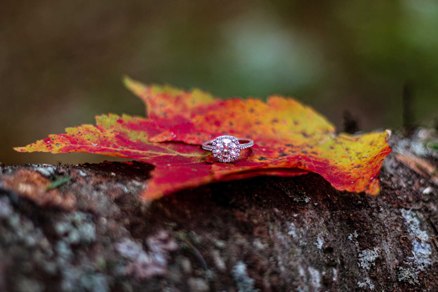 The Wedding Website of Alaina Jones and Riley Smith