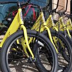 DOWNTOWN BIKE RENTALS