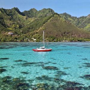 Catamaran Snorkeling Tour On Our Honeymoon