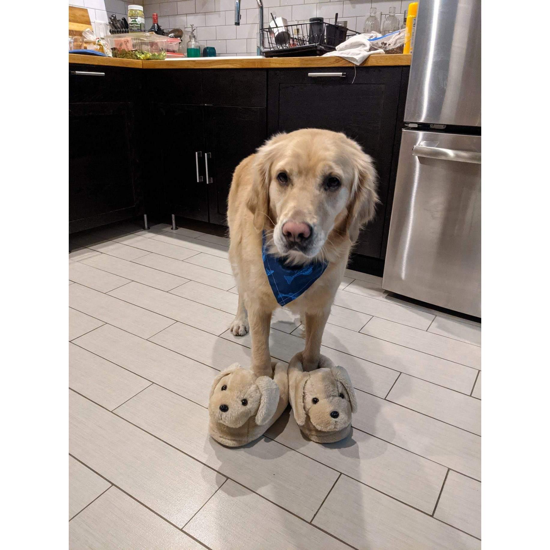 The love of our life, putting up with shenanigans.