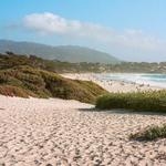 Carmel Beach
