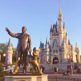 Walt Disney World® Resort