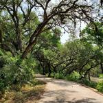 Leon Creek Greenway Trailhead