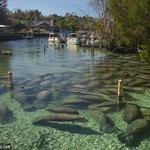 Three Sisters Springs