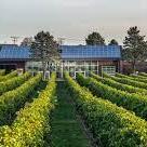 Newport Vineyards