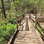 Bent Creek trailhead