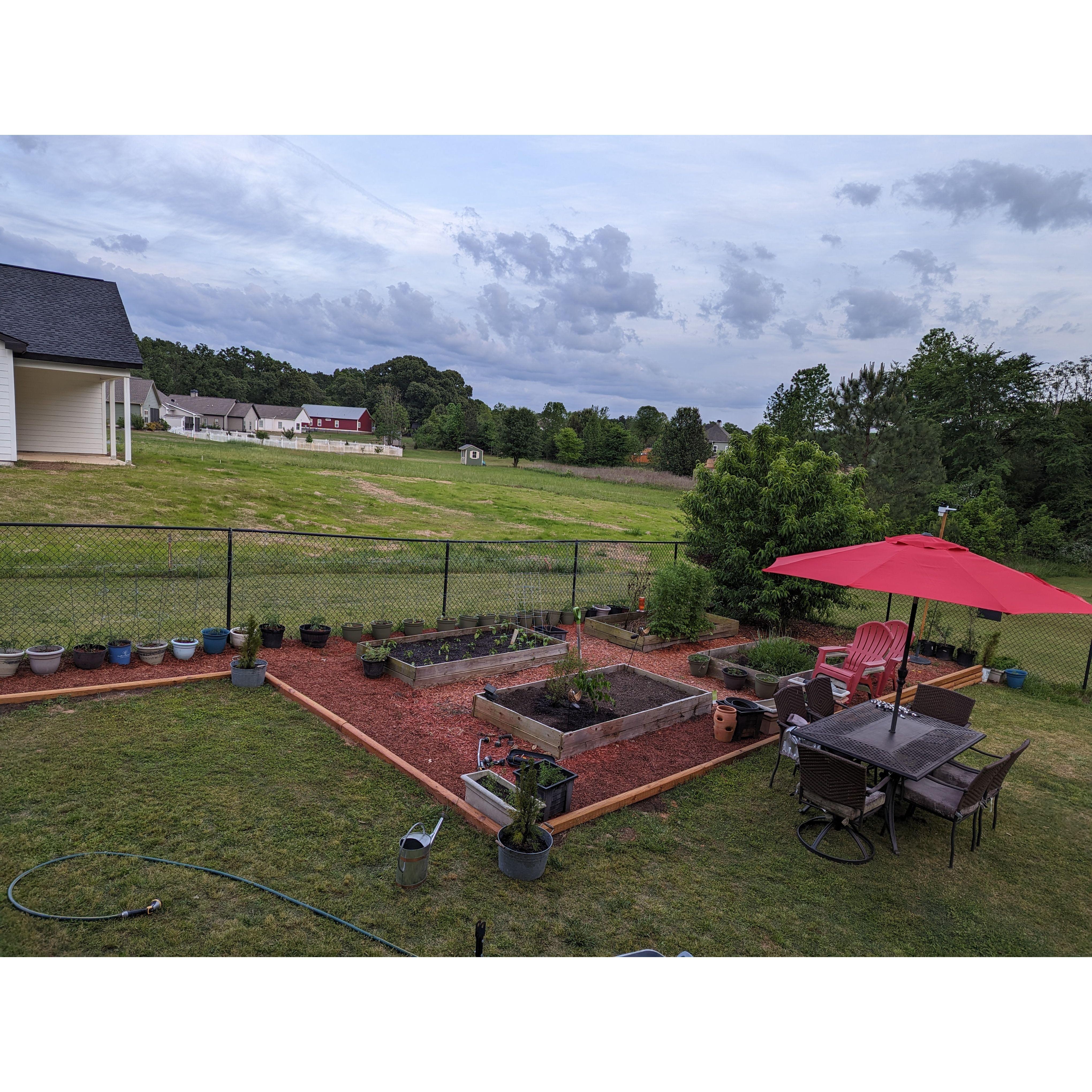 Our Garden