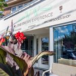 VV The Italian Experience