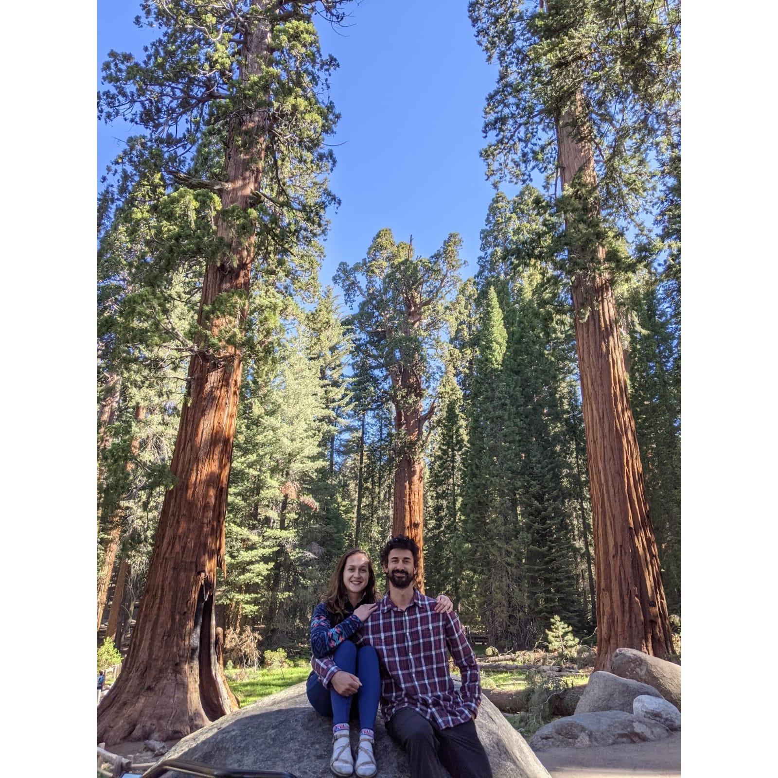 Sequoia National Park