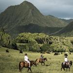 Kualoa Ranch