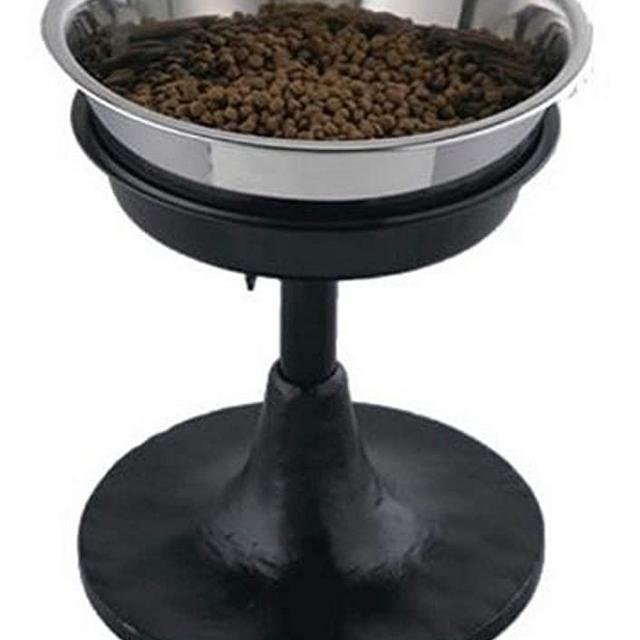 QT Dog 5-Quart Adjustable Barstool Diner, Black