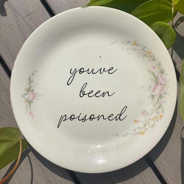 Snarky Plates | Funny Plates | Mean Plates