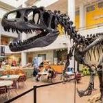 San Diego Natural History Museum