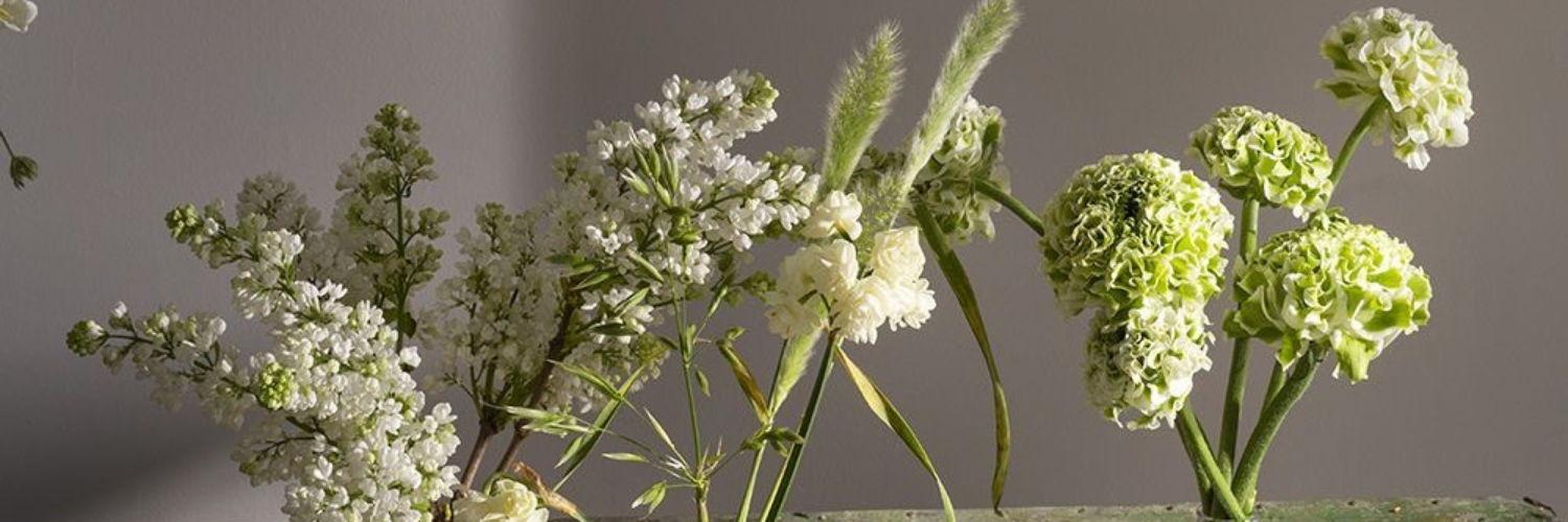 The Wedding Website of Jade Wille and Christopher Rodrigues