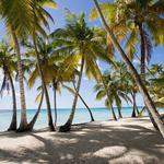 Saona Island Day Trip with Lunch and Open Bar