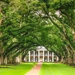 Oak Alley Plantation