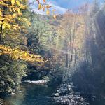 Cherokee National Forest
