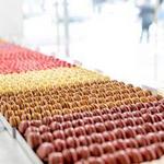 Bottega Louie