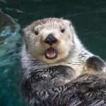 Seattle Aquarium
