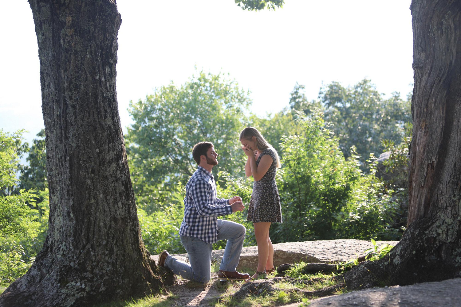 July 27, 2019 - The Proposal