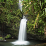 El Yunque Rainforest