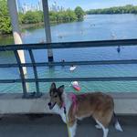 Lady Bird Lake Trail