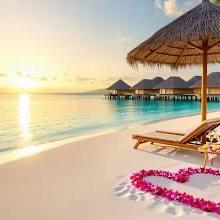 Honeymoon Fund
