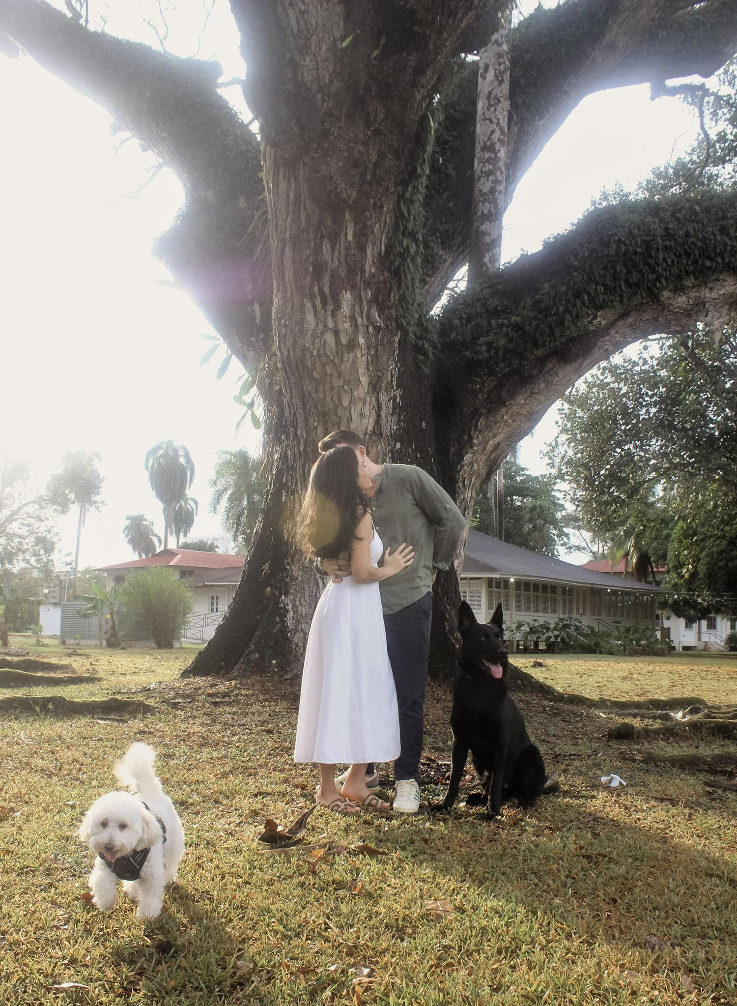 The Wedding Website of Janisse Mendieta and Alioscia Cancro