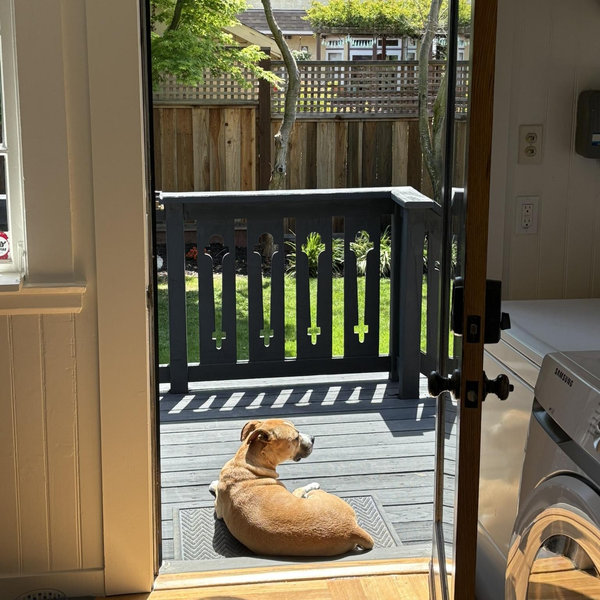Our Oakland Oasis