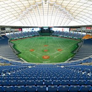 Nippon Pro Baseball Game
