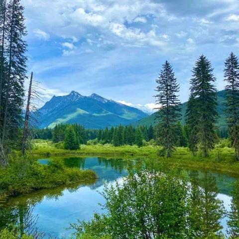 Montana Honeymoon