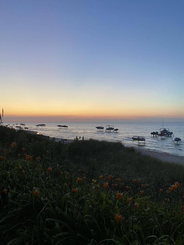 The Wedding Website of Bridget Cuneo and David Weigel