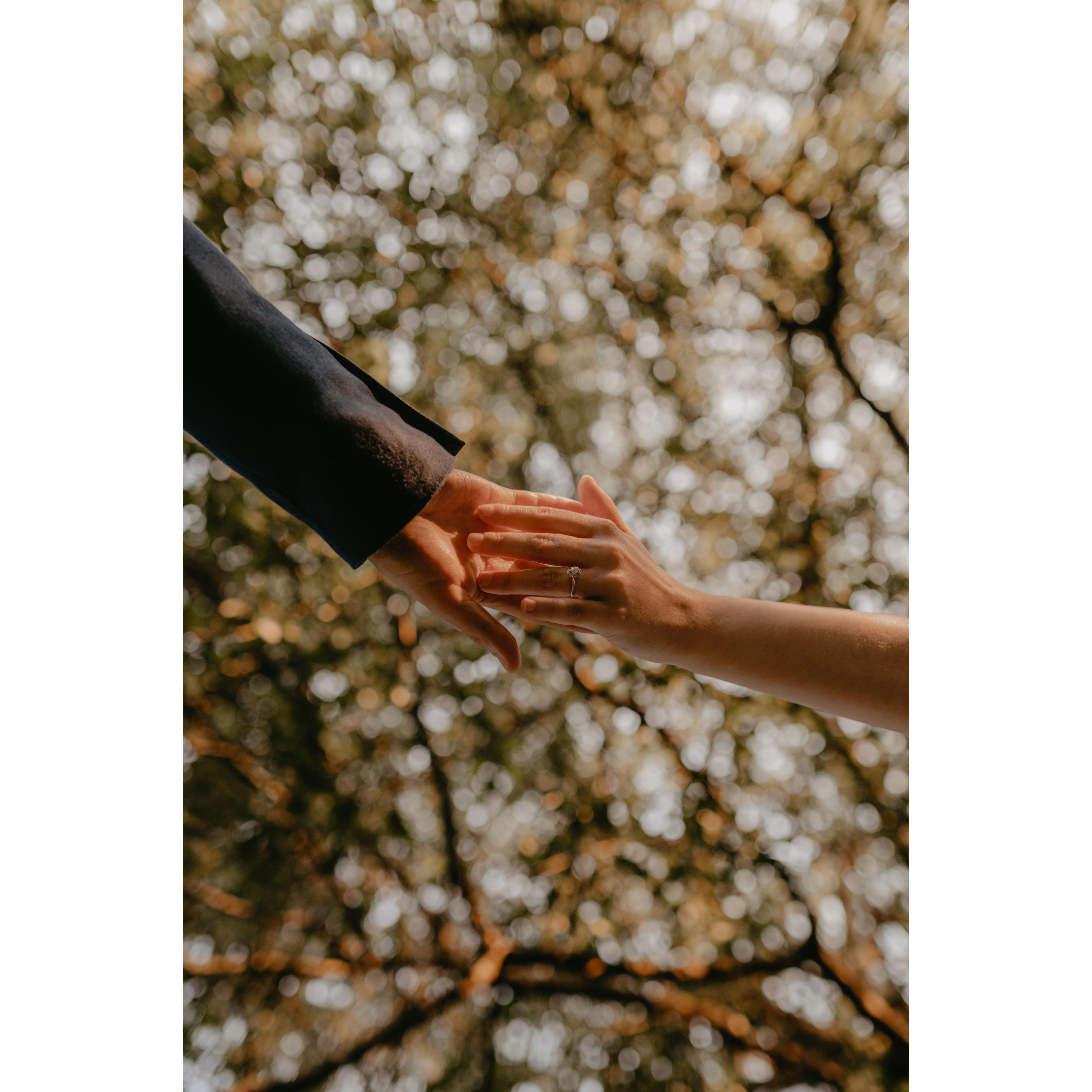 A sample of our engagement photographs.
