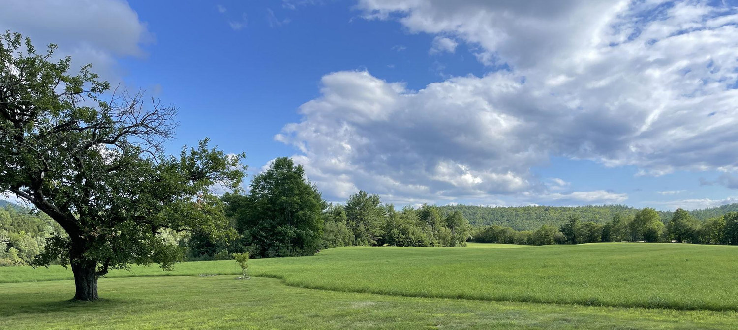 The Wedding Website of Amy Frazier and Peter Kedron