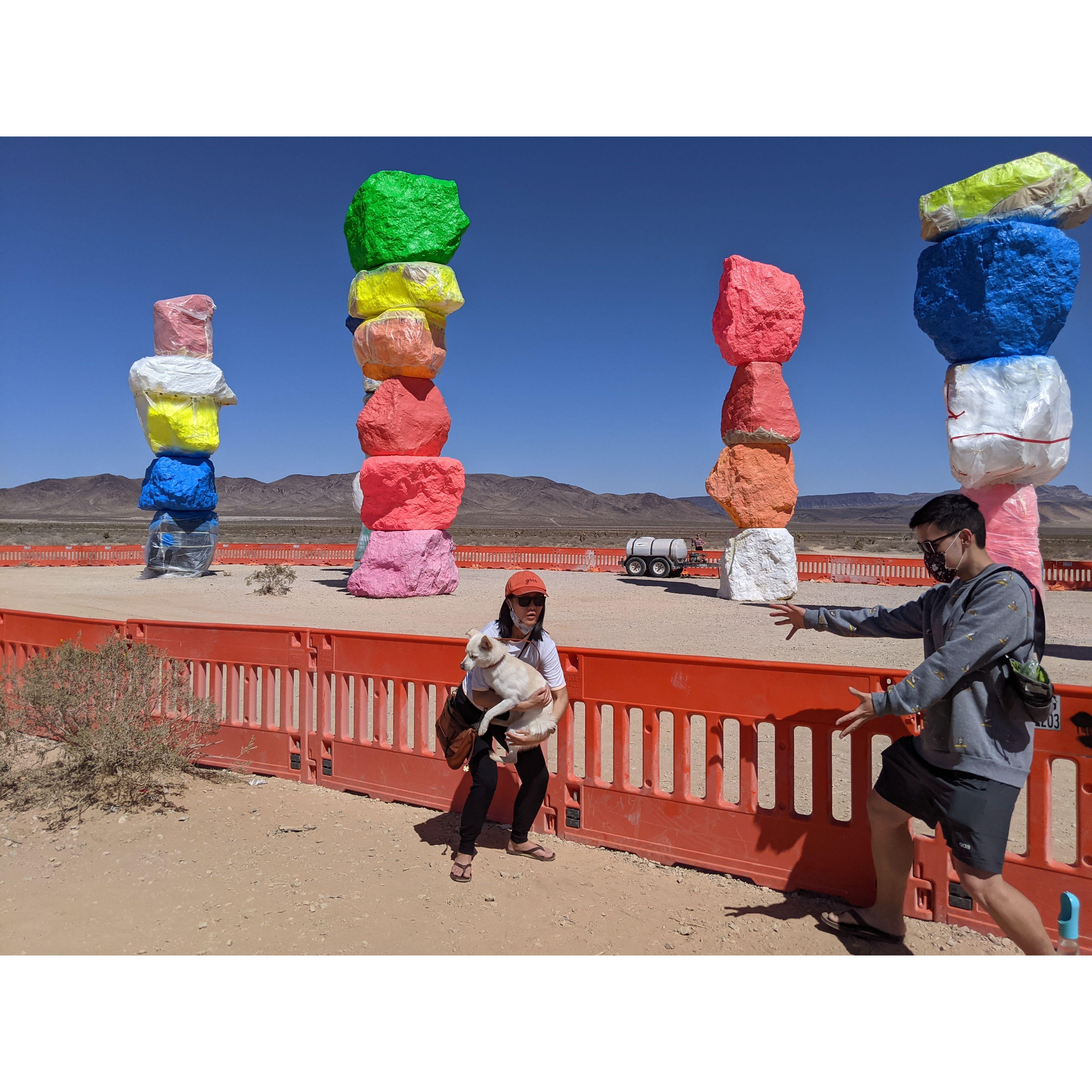 Driving cross-country and stopped to admire the Seven Magic Mountains in Vegas